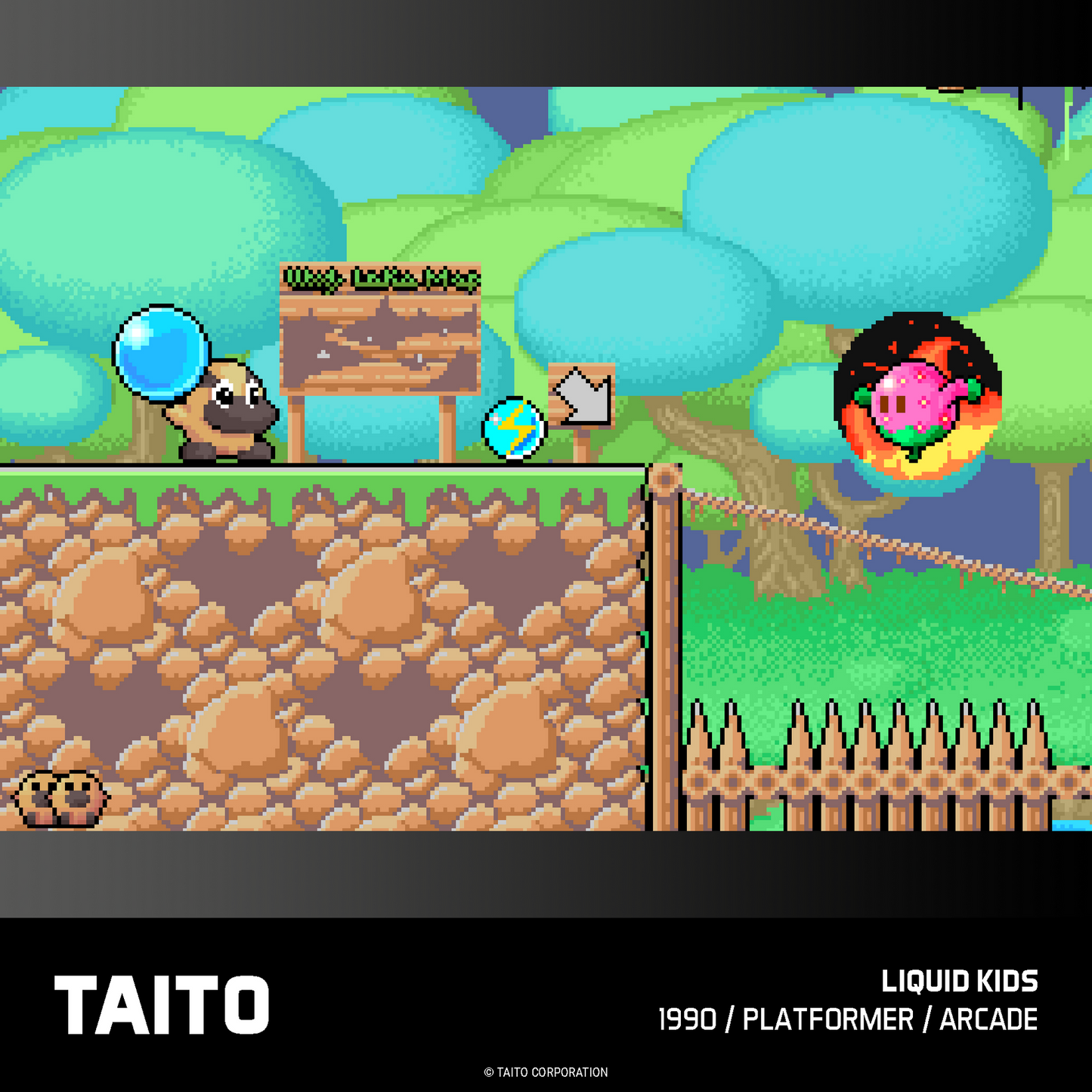 Evercade Taito Arcade Collections 1 & 2