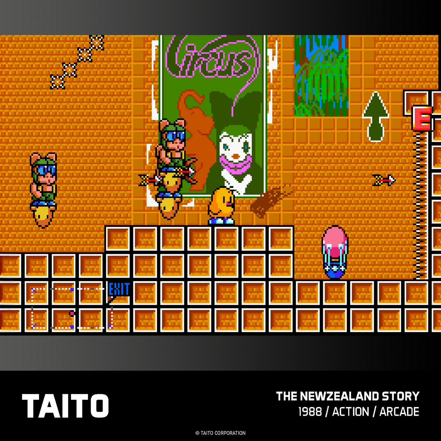 Evercade Taito Arcade Collections 1 & 2