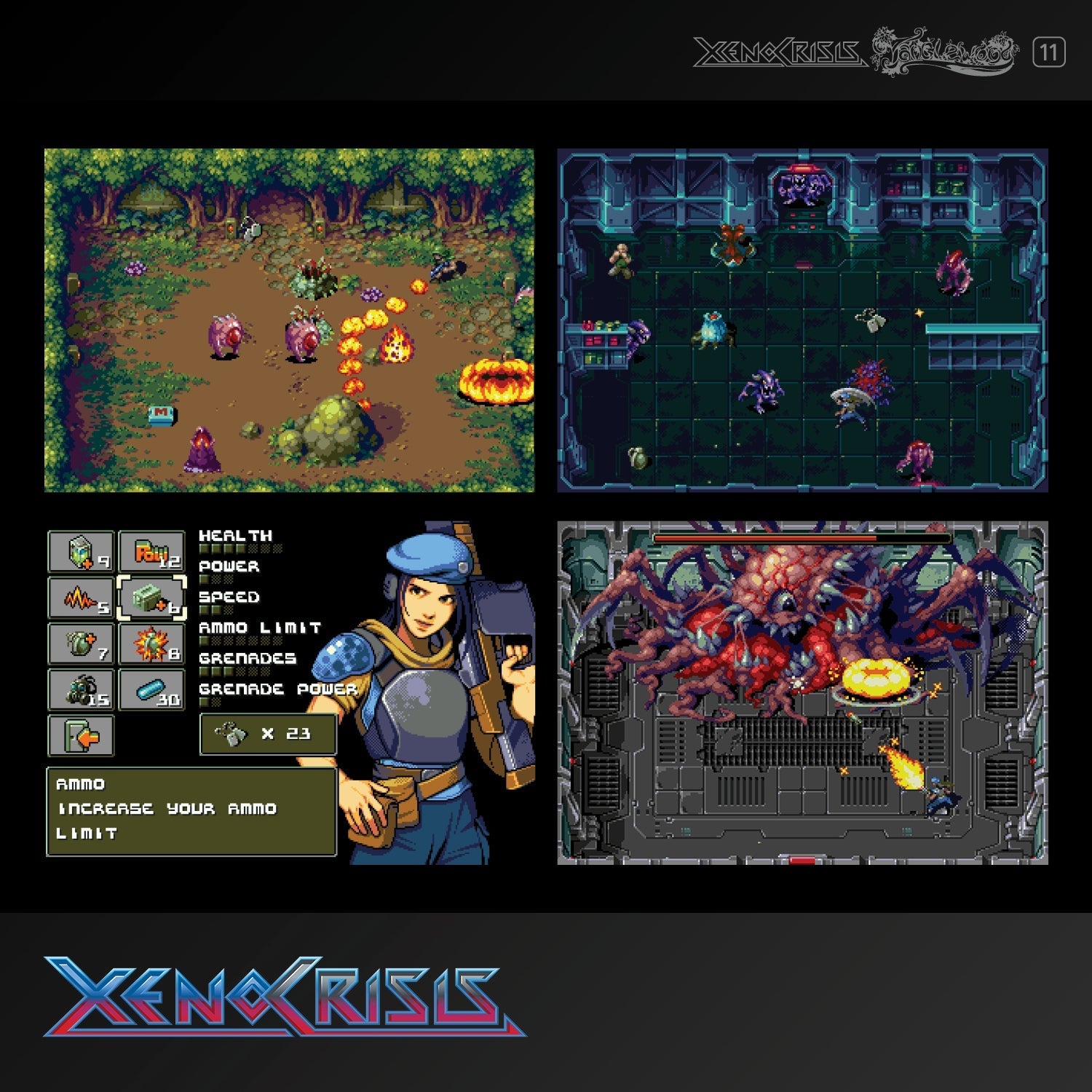 Evercade Xenocrisis & Tanglewood - CastleMania Games