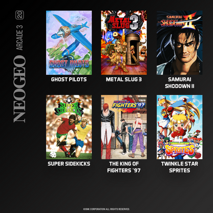 Evercade NEOGEO Arcade Collection #2