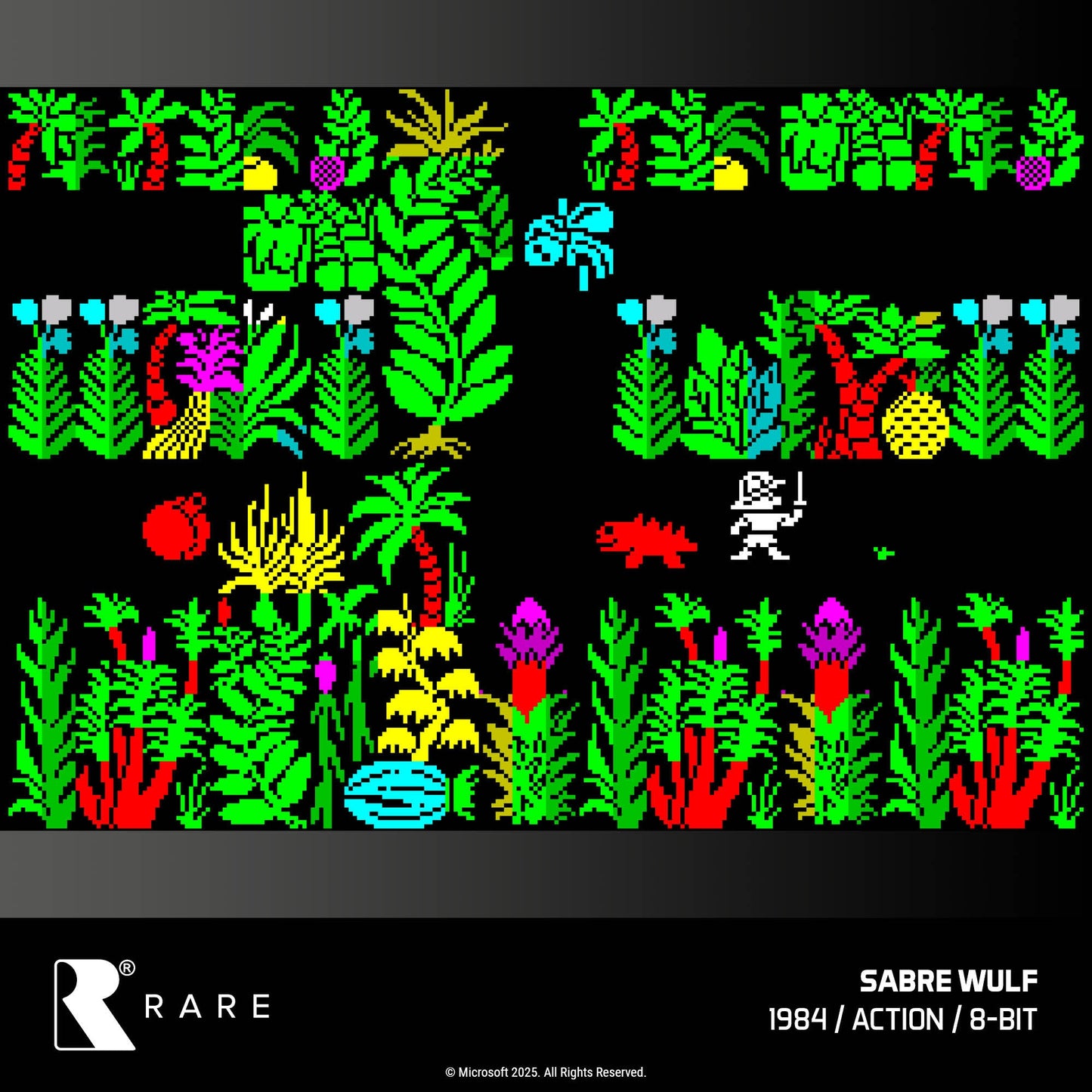 Evercade Rare Collection 1