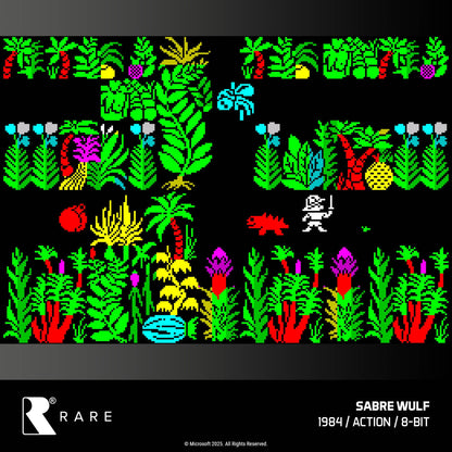 Evercade Rare Collection 1