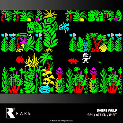 Evercade Rare Collection 1