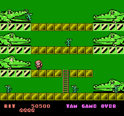 Rod Land - Collector’s Edition for NES®