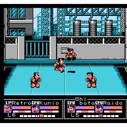 River City Ball & Brawl Bundle